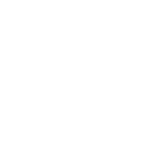 Cosmic Disco 